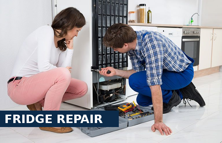Fridge Repair Highbury